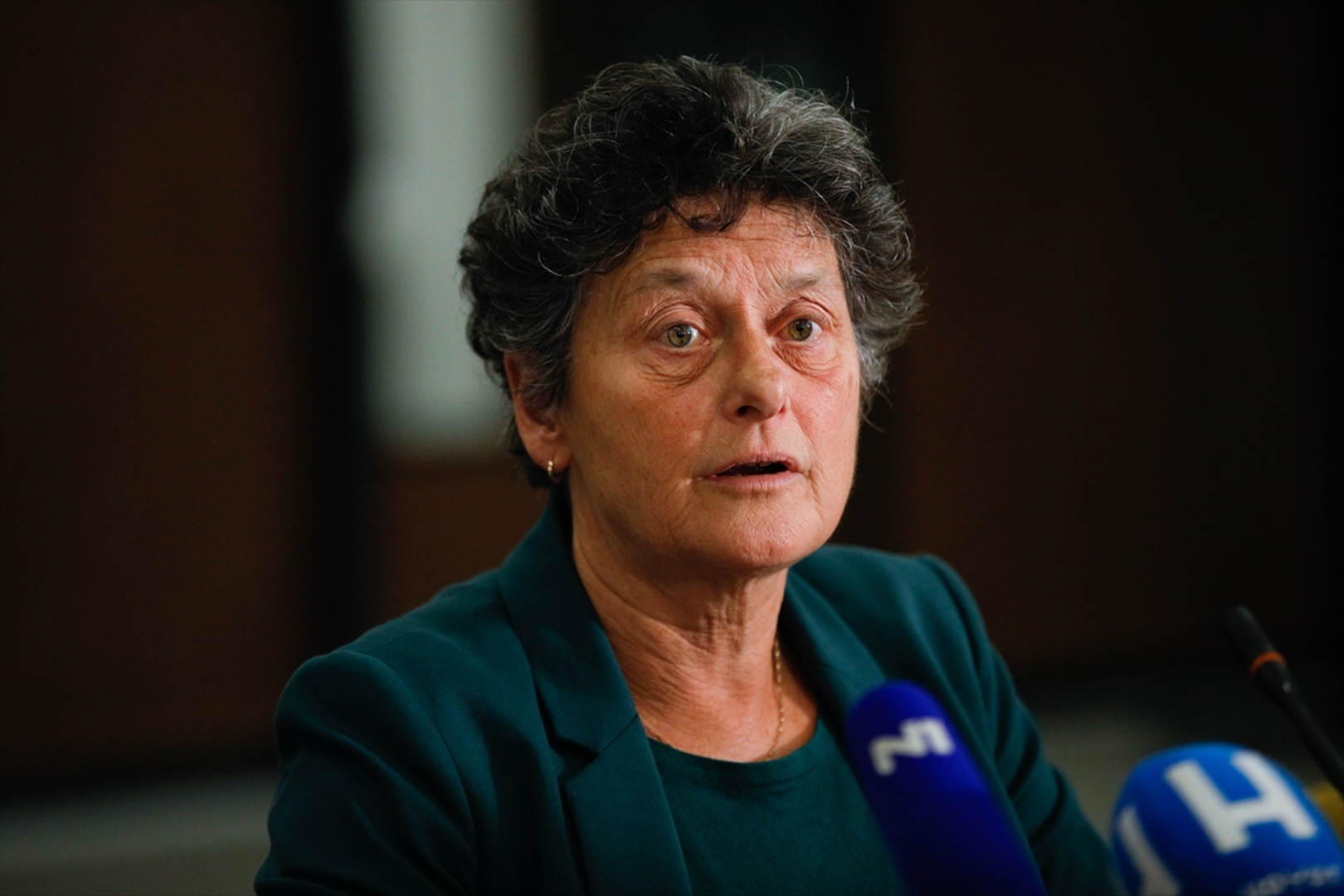 Ne smiruje se nezadovoljstvo poslanika zbog BiH. Zašto se podleglo Orbanovom pritisku? - slika 1